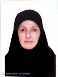 Shafiei Massoumeh