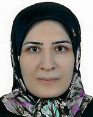 Maryam Razi