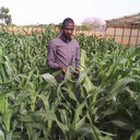 Abdou Harou