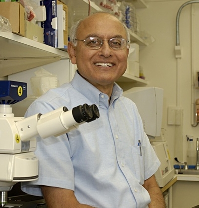 Anil B. Mukherjee