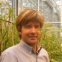Edwin A G van der Vossen