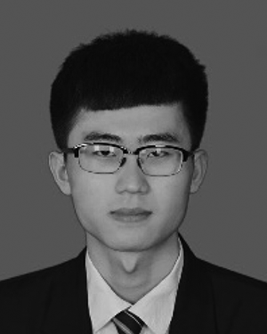 Zhiqiang Qi