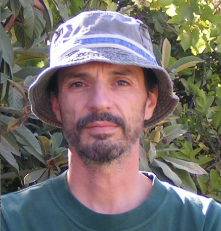 Sergei Volis