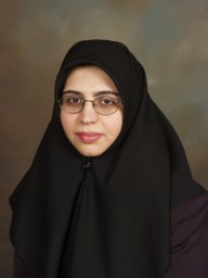 Sima Noghanian