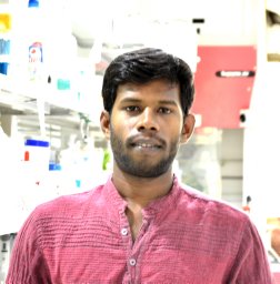 Vadivelmurugan Irulappan