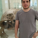 Gustavo Parisi