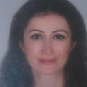 Burcin Akcay