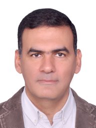 Samir F. El-Mashtoly