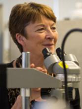 Bridget Lumb