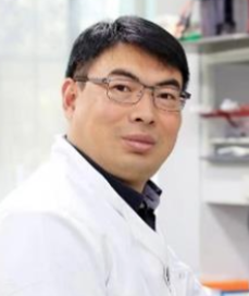 Qinghui Ai