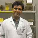 Majid Assadi