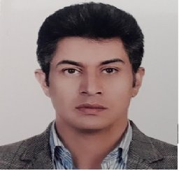 Saeid Fallahizadeh