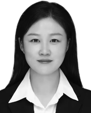 Jingya Feng