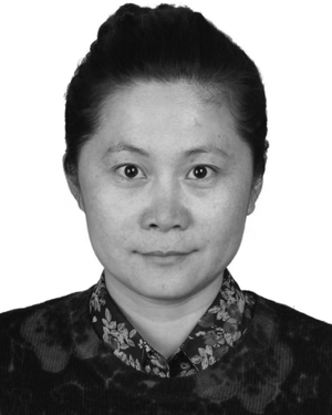 Xiaomei Wang