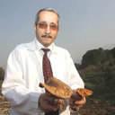 Kutret Gezer