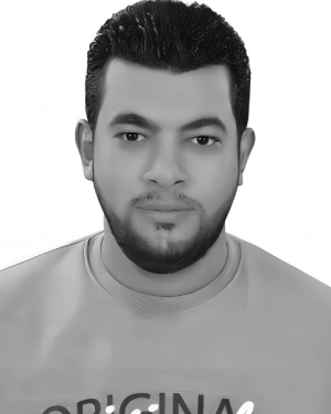 Mohammed A. El-Meligy