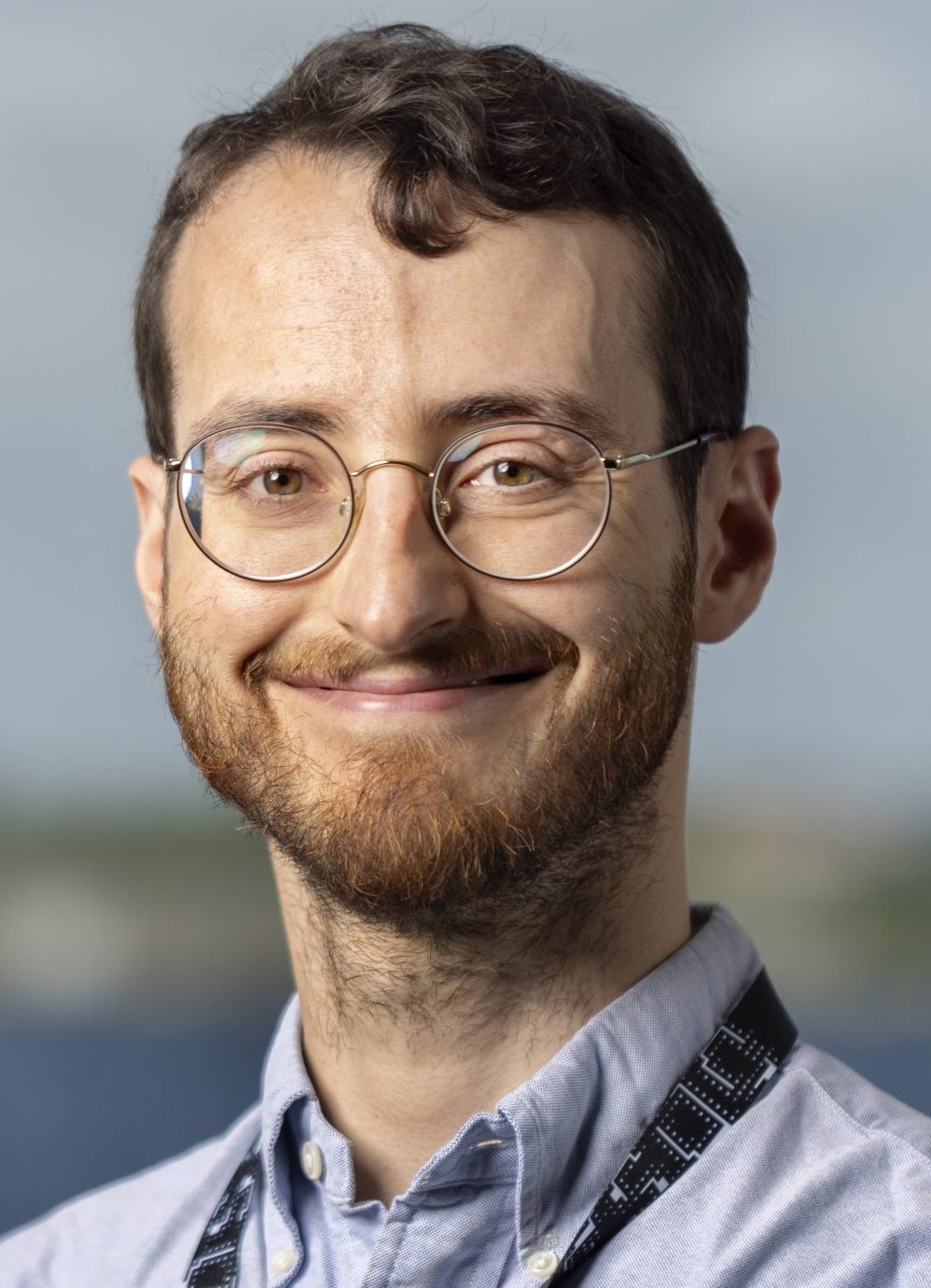Luigi Gresele