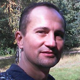 Maxim V. Gorkunov