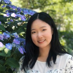 Lufei Liu