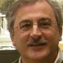 Luis P Fonseca