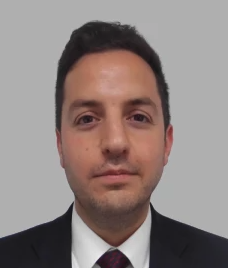 Amir Sepehripour