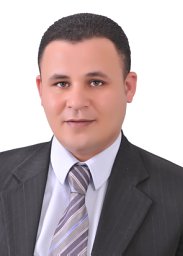 Abdelraouf M Ali