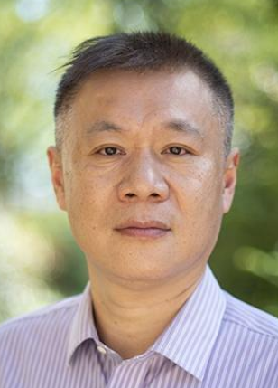 Qing Wang
