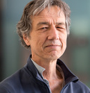 Ary Hoffmann