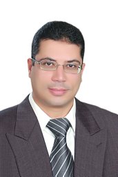 Abdelnaser Abdelghany Elzaawely