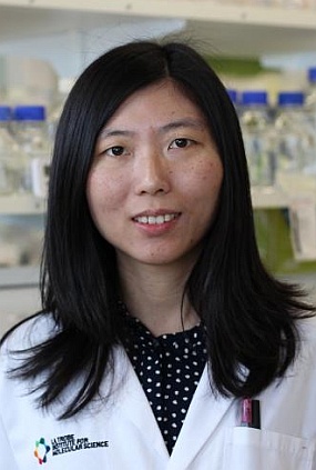 Yuning Hong