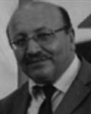 Mimouni, Mohamed Faouzi