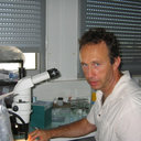 Jean-Marie Teulon