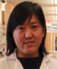 Dan Liu