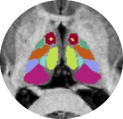 Datta Ritobrato
