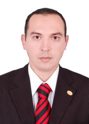 Diaa E Abou-Kassem