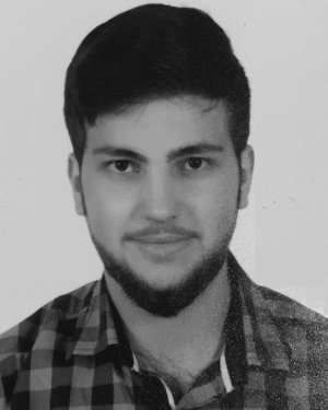 Ahmed I. Salameh