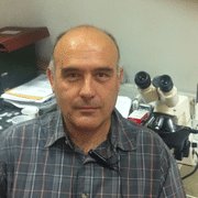 Dimitrios Vlachodimitropoulos