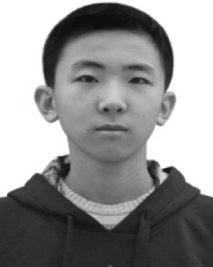 LI Jiaping