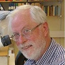Bengt Gunnarsson