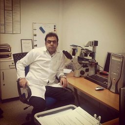 Hassan Mahmoudi