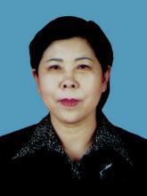 Qi Xing