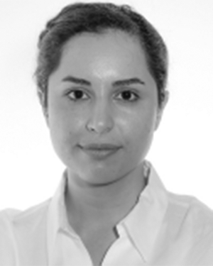 Sorour E. Amiri