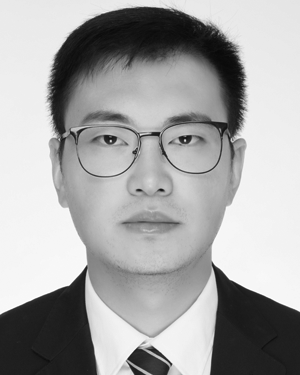 Wenlong Hang