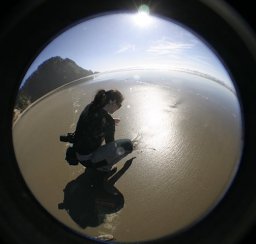 Mariona Segura-Noguera