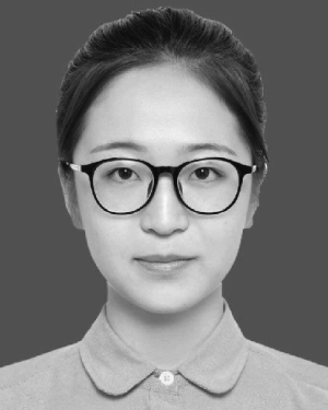 Mengmeng Li