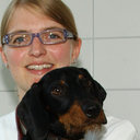 Lisa K. Harder