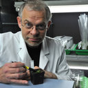 Thomas Pfannschmidt