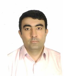 Mehdi S. Naderi
