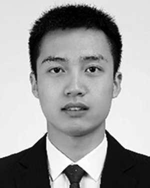 Ding Wang