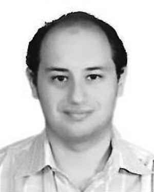 Ahmad A. Al Sallab
